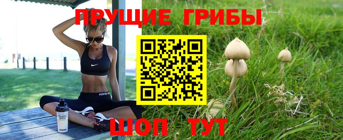 Псилоцибиновые грибы GOLDEN TEACHER Йошкар-Ола